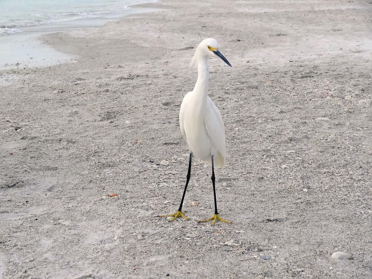 فيلا Luxury And The Beach North North Naples المظهر الخارجي الصورة